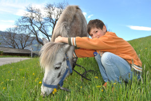 Pony---neuer-Freund-am-Galtinerhof-Südtirol